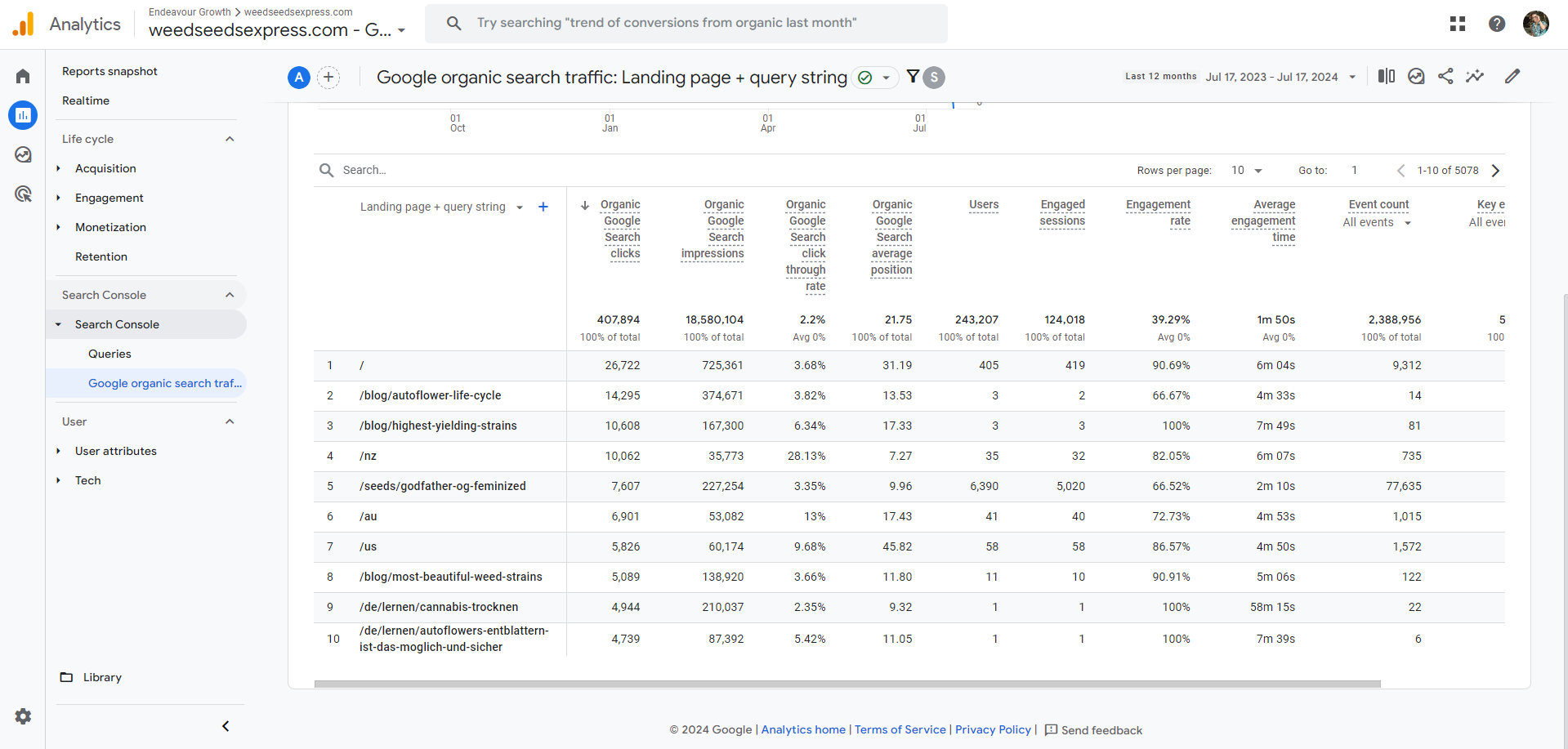 WeedSeedExpress — Google Ads 2